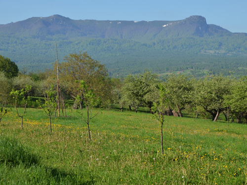 Gutai, abruptul Ne (c) Lucian Petru Goja